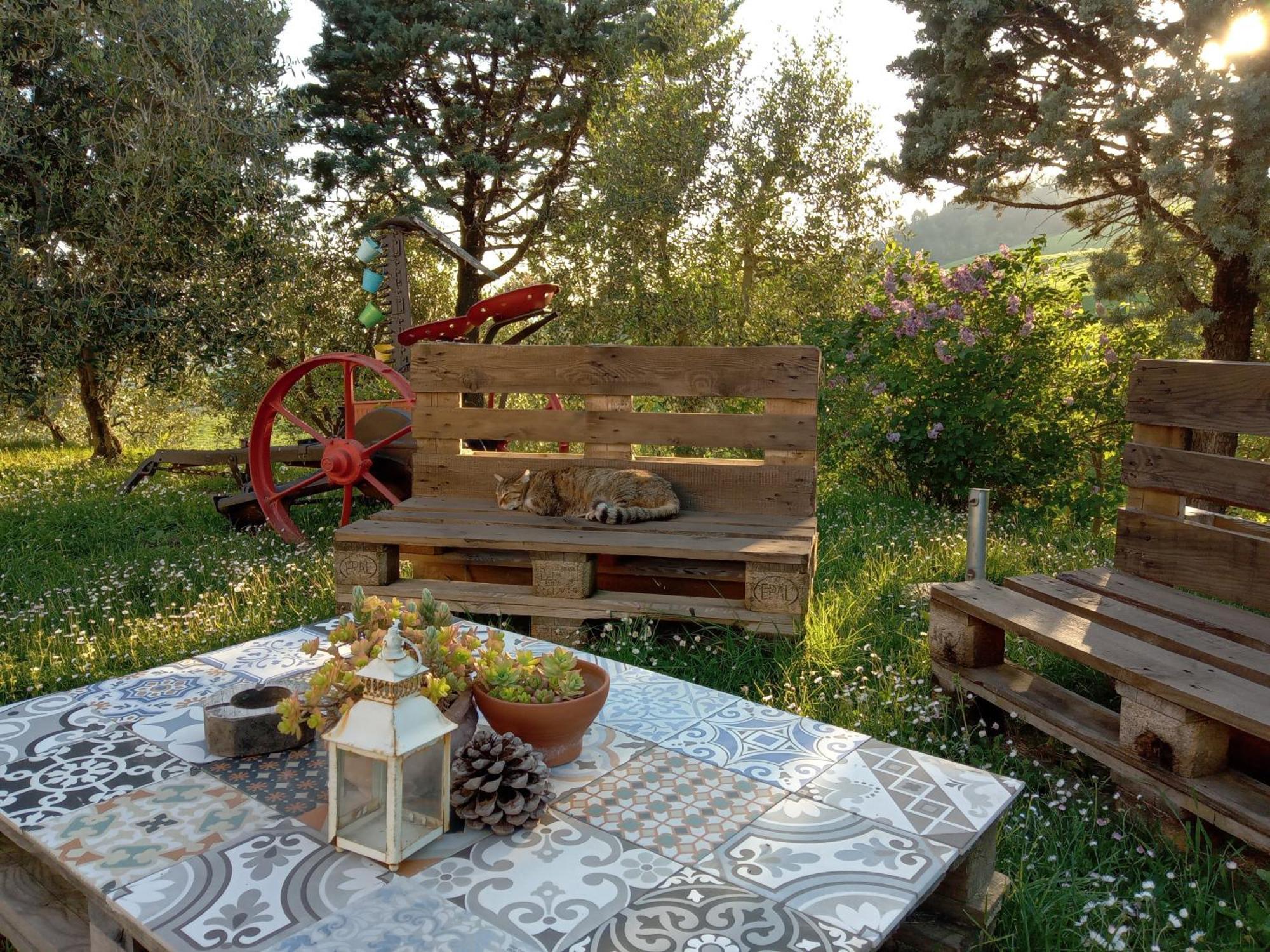 Agriturismo Santa Bruna 볼테라 외부 사진