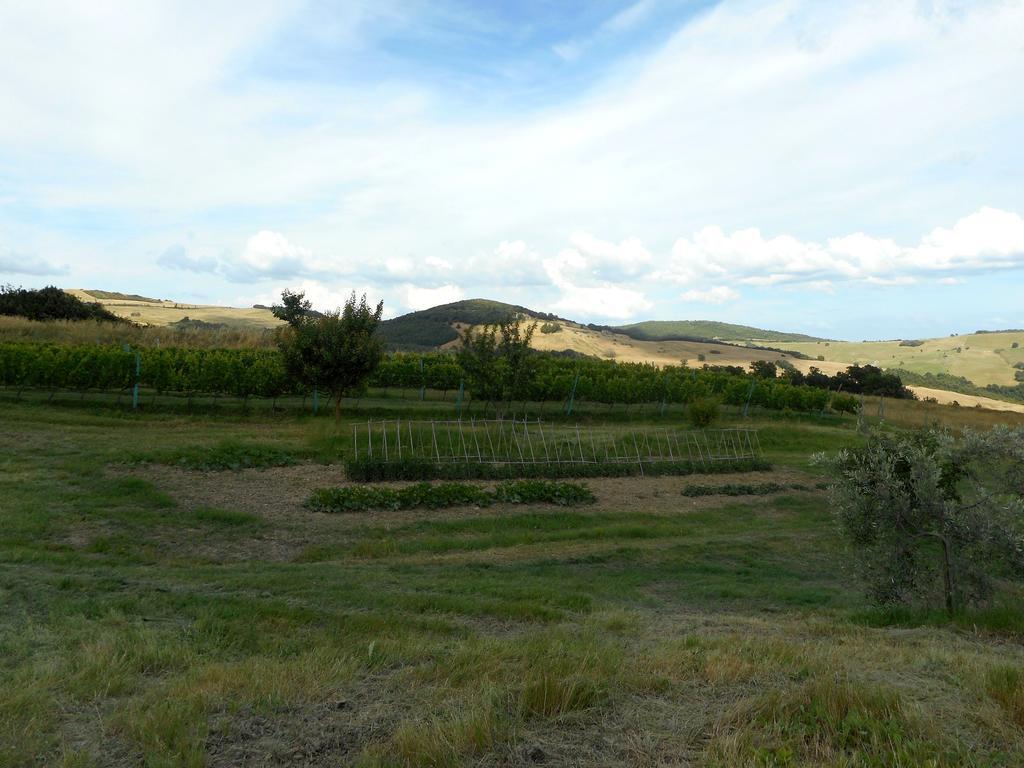 Agriturismo Santa Bruna 볼테라 외부 사진