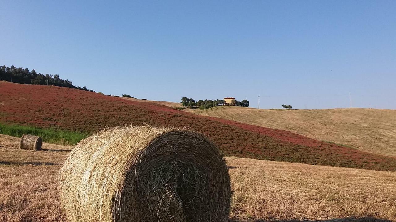 Agriturismo Santa Bruna 볼테라 외부 사진